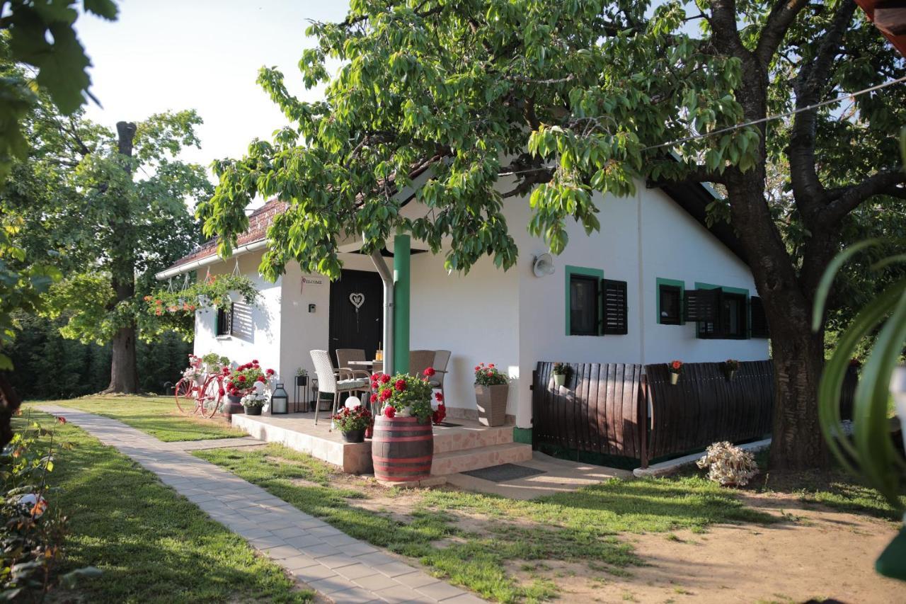 Amigo Sirova Katalena