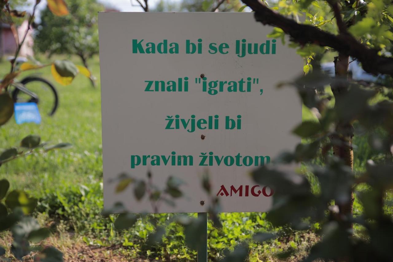 Amigo *